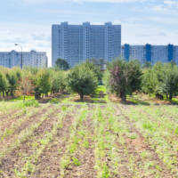 Face à l’indécence urbaine, réapproprions-nous les terres !