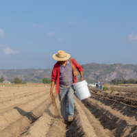 Nature & Progrès, au cœur d’une agriculture écologique, sociale et paysanne