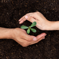 Etre soi avec l’aide des plantes – approche d’une paysanne herboriste.