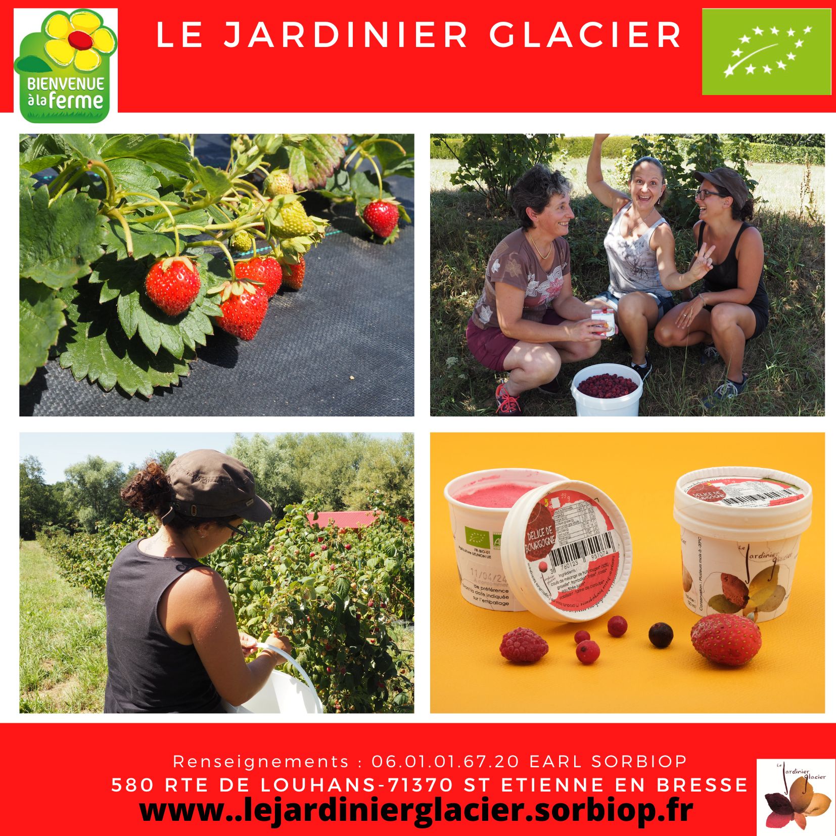 Le Jardinier Glacier - Sorbiop