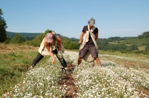 Les Sens en Herbe